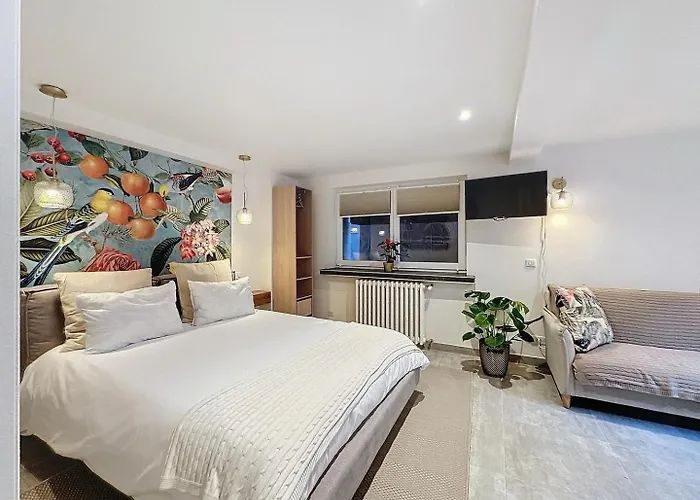 Le De Lisa 3* שטרסבורג